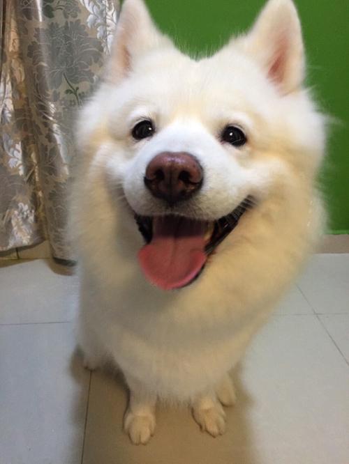 һ980!֣ݾһСթƭŻ