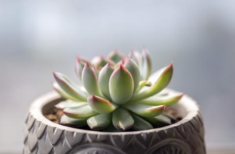 ±±¾©30ÈÕÐÂÔö2ÀýÈ·ÕïÏêÇé ˳ÒåÒ»´åׯÉýΪÖзçÏÕ