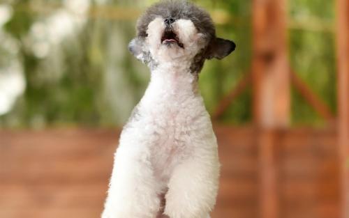 ɽһС5δůνģ31չů