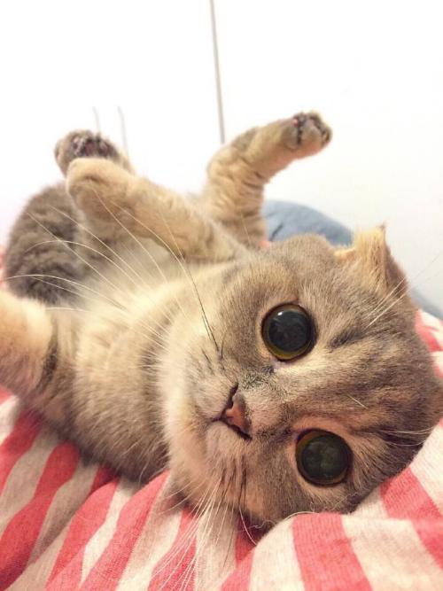 ¹úÆó¹«Ë¾ÖƸĸïÄêÄÚÍê³É ¶Ê»᲻µ±¡°»¨Æ¿¡±