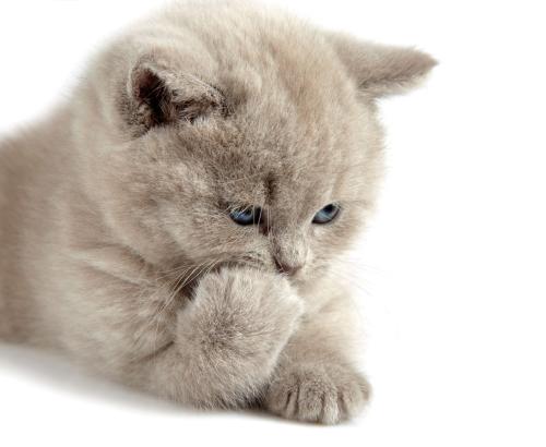 ¹úÎñÔº·¢²¼ÊµÊ©¶¯²úºÍȨÀûµ£±£Í³Ò»µÇ¼Ç¾ö¶¨ È«ÎÄ