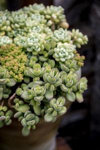 湖北保神高速全线贯通 神农架将跨入