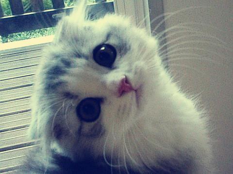 Áù²¿ÃÅ·¢²¼2020Äê