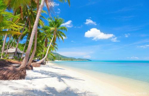 ÈçºÎÆÆ½âÀÏÄêÈ˳öÐÐÄÑ£¿½»Í¨ÔËÊ䲿µÈ²¿ÃÅÖ§ÕÐÁË