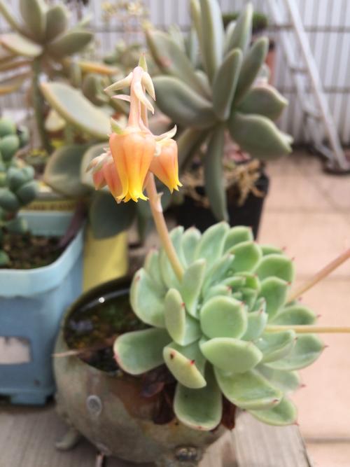 国务院教育督导办:严查中小学教师到培训机构兼职