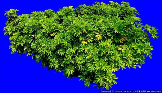 鲿1.97ԪοѵԱϵԱϸɲ