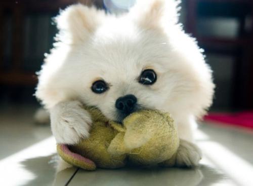 机构加速业务布局 助推金融市场互联互通