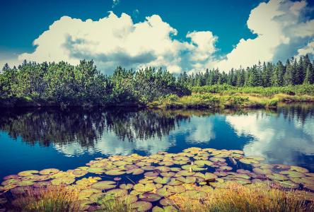 иձͨ ʽշźֱͨ绰