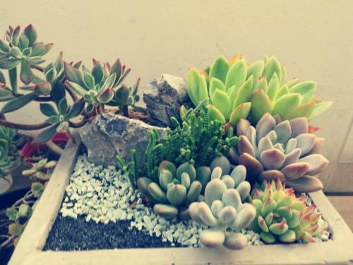 增值税电子专票来了 样式更简洁领用方式更快捷